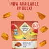 Sunny Fruit Soft Organic Dried Mangoes - 1 Pound Bulk