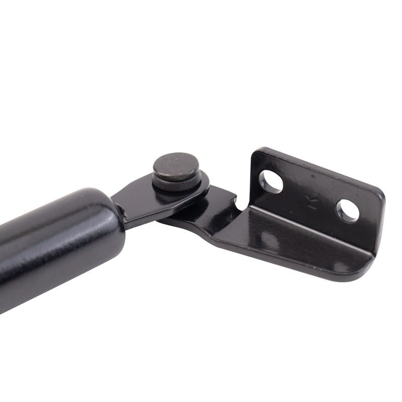 TRQ Left Liftgate Lift Support Shock Strut Compatible with 2000-2006