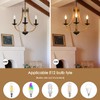 LAMPKEDUO Farmhouse Chandelier for Dining Room 3-Light 19" Wide Adjustable