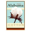CafePress Travel Alabama Rectangle Magnet, 3"x2" Refrigerator Magnet