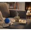 Pack of 4 Hedgehog Massage Balls 6.5 cm for Trigger