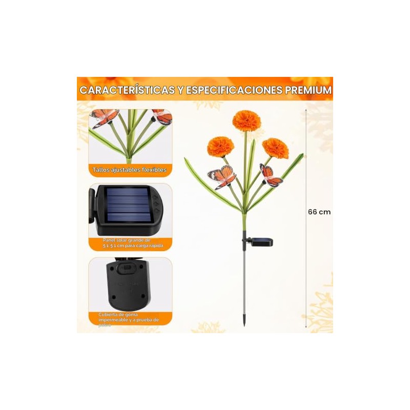 Dia de Los Muertos - Luces de flores de caléndula