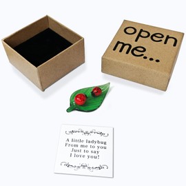 Laozai I Love You Gift, Lucky Charm,Hand-Blown Mini Crystal Ladybug on Green Leaf Figurine for Him Boyfriend or Girlfriend, Ideal Valentine's Day Gift