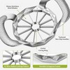 12-Slice Apple Cutter & Corer for Kitchen Prep – Stainless