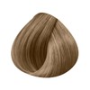 L'Oréal Professionnel Tone-on-tone hair colour 9.82: very light blonde, mocha