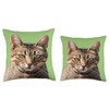 Portrait Of A Cute Tabby Cat With Eye Contact Vector