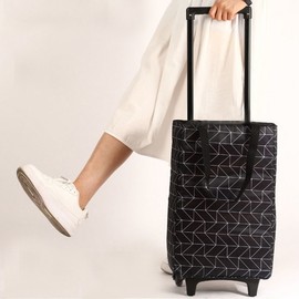 Pattern Black Foldable Insulated Shopping Cart With Home