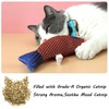 Catnip Toys Cat Fish Plush Toys, Cats Chew Toys for