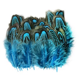 100 pcsHappy Feather Natural Pheasant Plumage Feathers 2-3 Inches Plumage Feathers for Sewing Crafts Clothing Decorating Accessories -Lake Blue