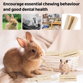 Sukh 240g Sweet Bamboo Chew-Sticks - Natural Rabbit Bamboo Sticks Small Animal Chew Toy Bunny Molar Treats Atural Teeth Grinding Toys for Squirrel Guinea Pigs Chinchilla