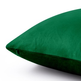 Hafaa Cushion Covers 45 x 45 cm - 2 Pack Velvet Square Throw Pillow Cases - Luxury Decorative Green Cushions Cover for Bedroom Sofa Chair Couch 18x18 Inch