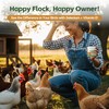 Selenium and Vitamin E Powder for Chickens – Boost Immunity,