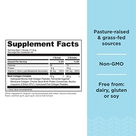 Ancient Nutrition Hydrolyzed Collagen Peptides Powder with Probiotics, Chocolate Multi Collagen Protein for Women and Men with Vitamin C, 40 Servings,