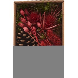 Dried Flower Pot Pourri Set Red