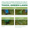 Scotts Turf Builder Thick'R Lawn Tall Fescue Mix - Combination