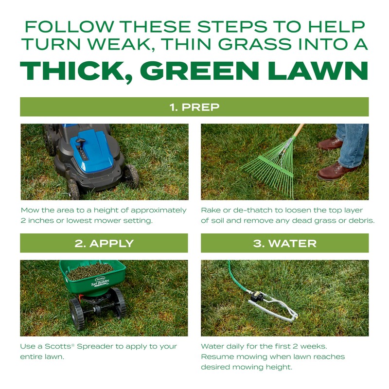 Scotts Turf Builder Thick'R Lawn Tall Fescue Mix - Combination
