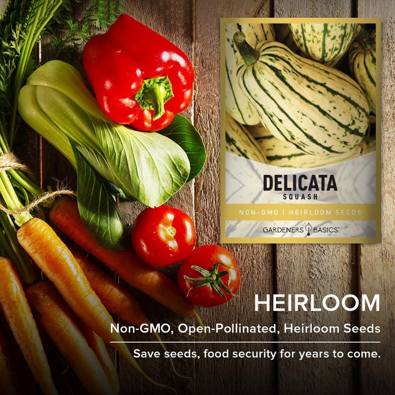 Gardeners Basics, Delicata Squash Seeds for Planting - Winter Squash