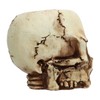 Skull Head Flower Pot Resin High Strength Clear Shape Skull