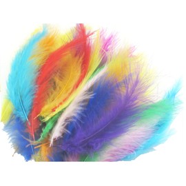 TBUY ROSE 3.5-6 inch 9-15cm Colorful Ostrich Feathers for DIY Dream Catchers Crafts Bulk Feathers Assorted Colors Home Decoration DIY Craft, 500 Pack, 10 Colors