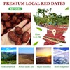 Dates Pitted Organic, 14oz Seedless Chinese Red Dates For Pregnancy,