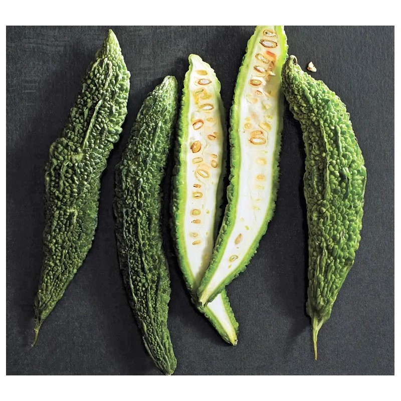 TomorrowSeeds Black Pearl Bitter Melon | Indian Bitter Gourd Dark