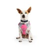 EveryYay Front Walking Reflective Dog Harness, Pink, Medium