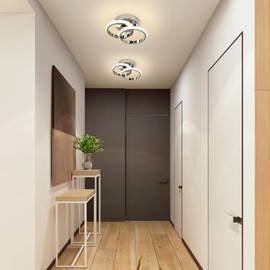 ADISUN Lámpara De Techo LED, Lámpara De Techo Moderna Con 2 Redonda LED Luces, Lámpara De Techo Led Regulable para Interior De Casas, Cocina, Pasillo, Sala De Estar, Dormitorio- 24W(Plata)