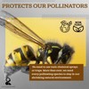 ARCHETYPE BRANDS Wasp Nest Decoy - Natural Wasp Repellent -