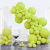 PartyWoo Balloons Garland 100 pcs,2109