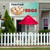 Vinyl Banner Multiple Sizes Farm Fresh Eggs Restaurant Cafe Bar