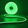 HEGEHE Dimmable LED Neon Light Strip Kit, 2m Green Neon