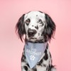 Big Brother Heart Paw Dog Bandana | 100% Cotton Adjustable