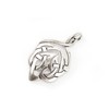 Windalf Celtic Irish Pendant BRÂN 3.6 cm Celtic Power Bird