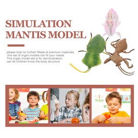 VICASKY 3pcs Mantis Eggs Toy Stuffed Animals Desktop Decor Plastic Playes Toys Realistic Simulation Model Small Decoration Animal Decorate Orchid Statue Child Kids Playset