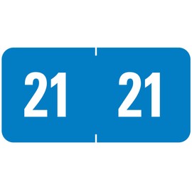 Smead ETS Color-Coded Year Label, 2021, Label Sheet, Light Blue, 250 Per Pack (67921)