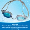 Water Gear Vector Anti-Fog Goggle, Teal Lens/Silver STRP