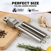 Stainless Steel Garlic Press,Thickened Garlic Crusher,Ergonomically Designed Handle for Effortless