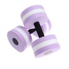 Didiseaon 2pcs Sports Aquatic Exercise Dumbbells Eva Aqua Fitness Barbells