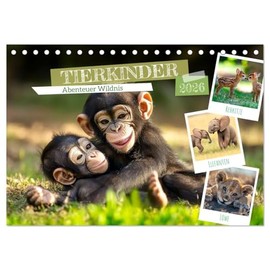 TIERKINDER Abenteuer Wildnis (Tischkalender 2026 DIN A5 quer), CALVENDO Monatskalender: Kleine Pfoten entdecken die große Welt (CALVENDO Tiere)