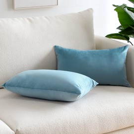 Sungeek Pack of 2 Velvet Cushion Covers Soft Decorative Pillow Covers with Invisible Zipper Luxury Throw Pillow Cases for Home Decor Sofa Bedroom Living Room 30x50cm Light Blue