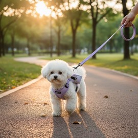 Pet Supply for dogs, cats and daily pet care, pet care accessory or treat, Pet Care Essential, pet care or, Everyday Use, Travel, Home or, Option 17