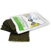 Two Little Fishies Sea Veggies Green Seaweed 30 grams Natural