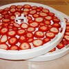 GUCUJI Pack of 5 Premium Non stick Round Silicone Dehydrator
