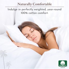 California Design Den Natural 100% Cotton Bed Sheets Twin Size Set - Soft Sateen Twin Sheets with Deep Pockets, Breathable, Cooling and Durable Bedding Set for Dorm Rooms, College - Teal