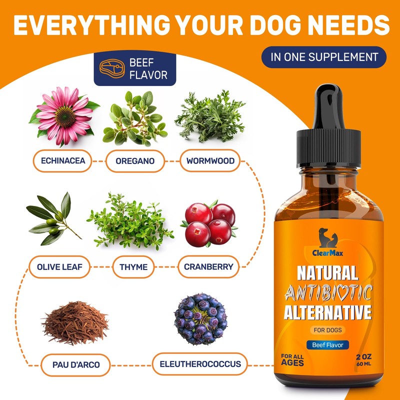 Natural Antibiotics for Dogs for Allergies, Infections, Coughs, Digestive Moments