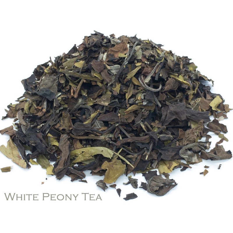 Cramp Bark and White Peony White Tea Herbal Infusion (25