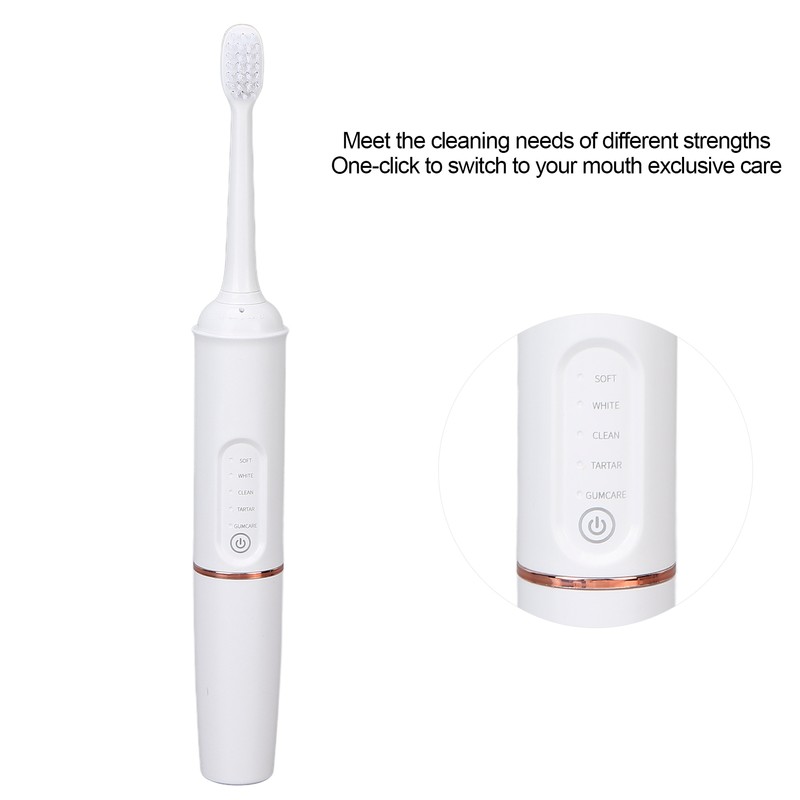 Plaque Remover IPX7 Waterproof Multifunction Electric Teeth Cleaning Kit for