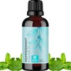 Maple Holistics Peppermint Essential Oil for Diffuser Aromatherapy - 100%