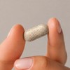 Wellies Oledence Alpacal Ola 120 tablets (5) / 올리던스 알파칼