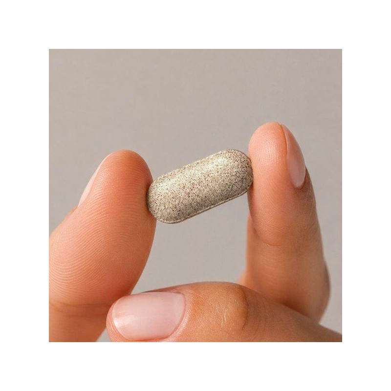 Wellies Oledence Alpacal Ola 120 tablets (5) / 올리던스 알파칼